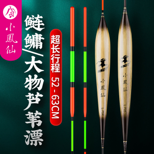 小凤仙芦苇大物漂钓鲢鳙专用浮漂黑坑超长行程巨物漂加粗醒目鱼漂