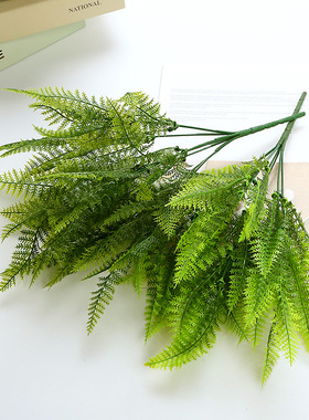 仿真植物绿植盆栽装饰塑料假草蕨类波斯蕨草蕨叶家居装饰塑料插花