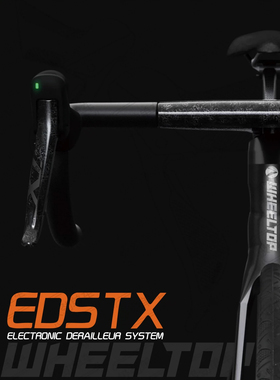 轮峰无线电子变速器套件公路/GRAVEL版本WHEELTOP EDS TX GEX