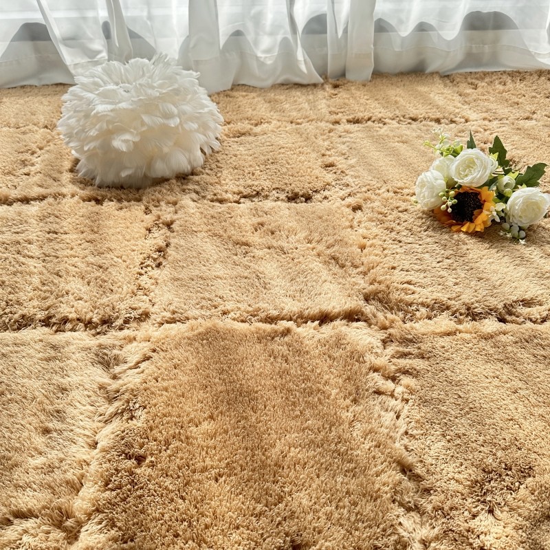 2024新款毛绒地毯拼接地垫卧室全铺床边毯客厅阳台飘窗垫60可裁剪
