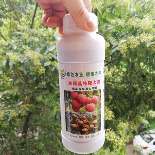 果树肥料龙眼荔枝膨大剂丰产素调节剂促花保果膨大着色汁多口感好
