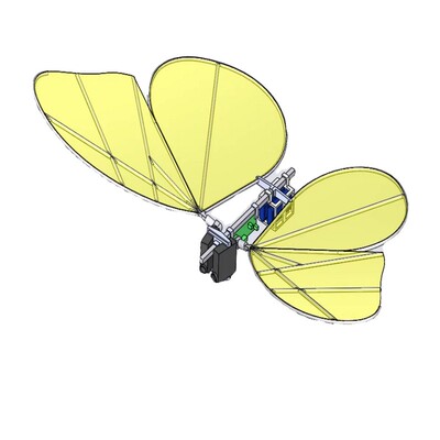 动态仿生蝴蝶设计三维模型SW建模SolidWorks 2022图纸数模资料