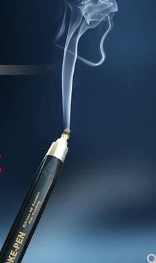 REGIN发烟笔芯美国发烟笔