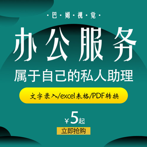 人工代打字服务文字录入pdf转word排版设计excel模板格式修改cad