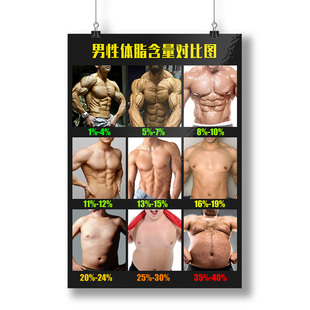 飾壁畫分解掛畫大學宿舍貼畫 肌肉體脂對比圖健身房海報減肥男女裝