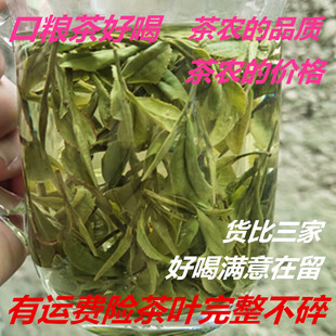 2025年11月采摘新茶高山绿茶自家茶园采摘加工品质好浓香散装一斤