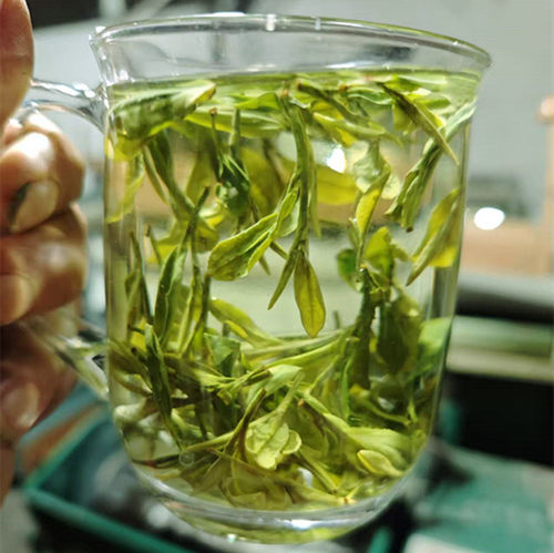 自家高山茶园采摘加工散装浓香好