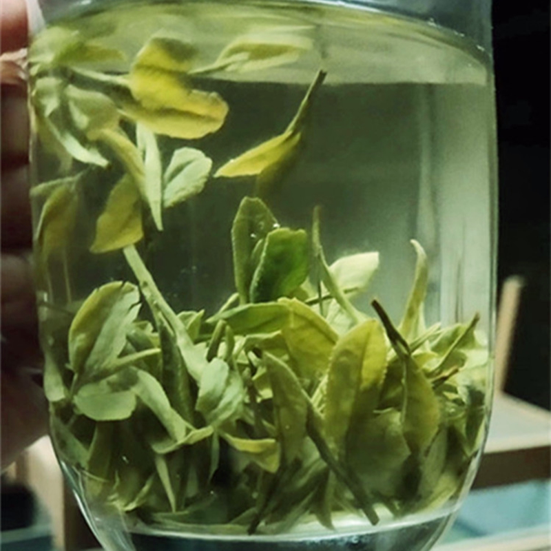 高山茶龙井43自家茶山好茶500克