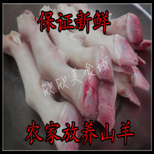 新鲜羊蹄 去毛羊蹄羊爪羊脚 屠宰直供非老冻品6份包邮江浙沪皖