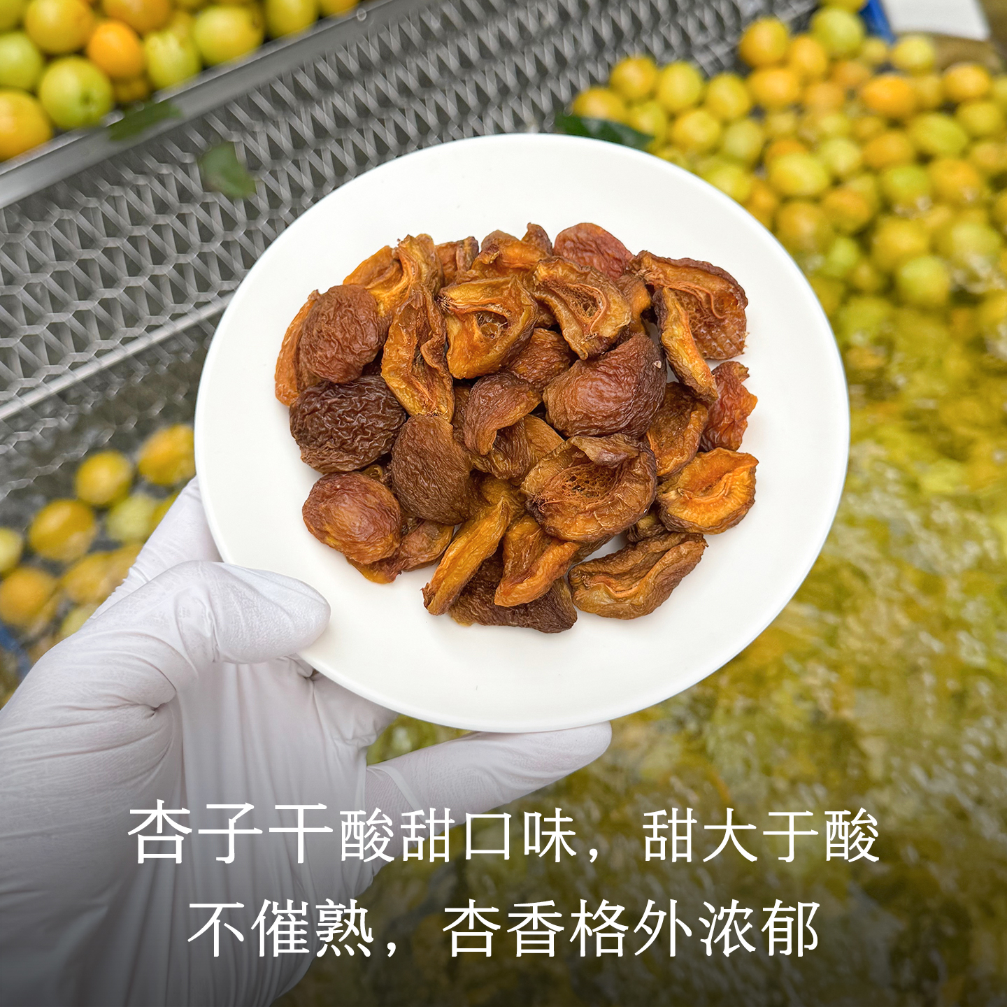 晚桔 杏子干 不加糖天然杏味 非蜜饯杏脯 杏干水果茶小零食