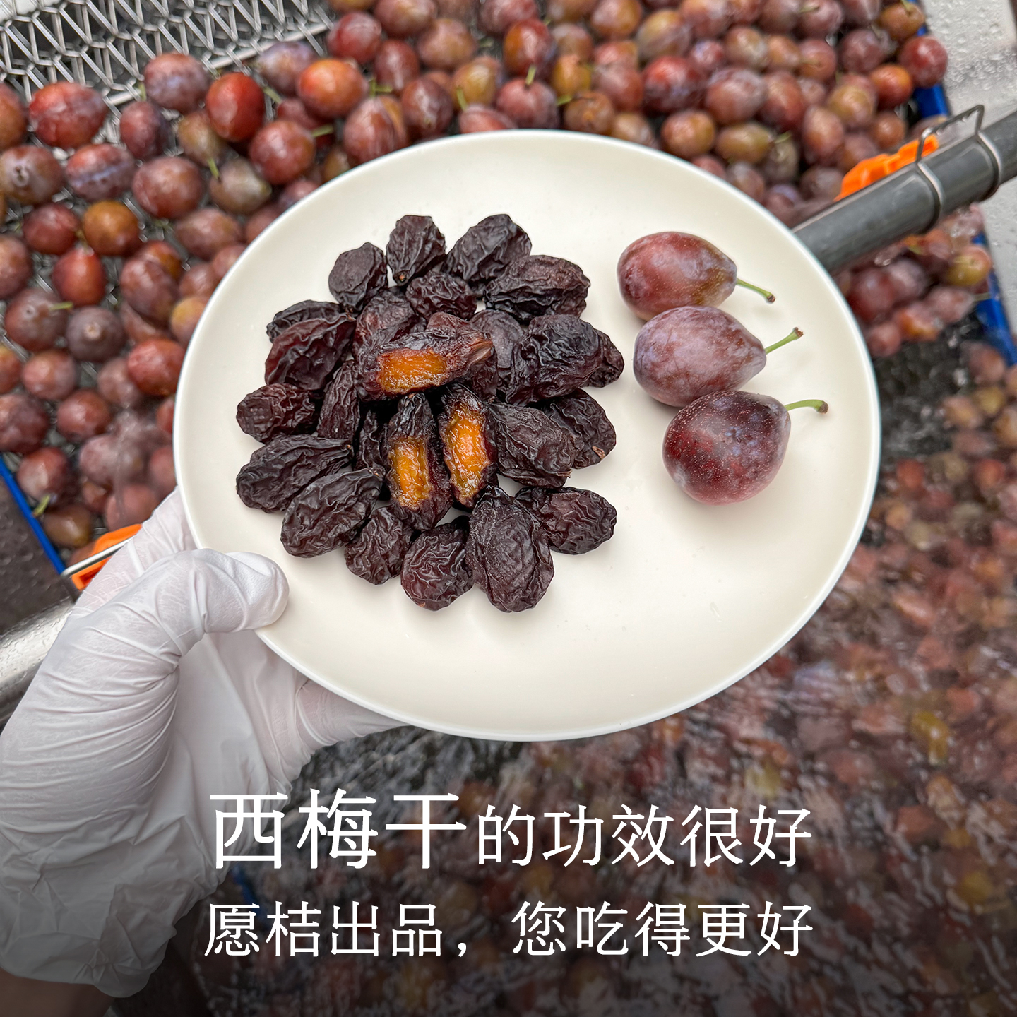 晚桔 西梅干 新疆伽师法兰西西梅 不添加更健康 香甜蜜饯水果干