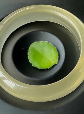 天然水晶手镯黄水晶手镯柠檬黄内径57MM宽18MM净体手镯生日礼物女