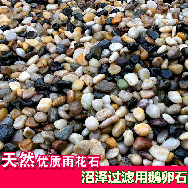 沼泽过滤鱼缸养龟龟缸小鹅卵石沼泽小豆石子过滤用石头雨花石包邮