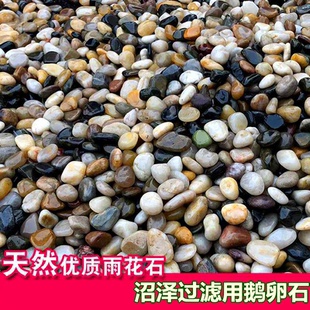 沼泽过滤鱼缸养龟龟缸小鹅卵石沼泽小豆石子过滤用石头雨花石包邮