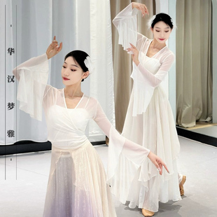 古典舞蹈服新款纱衣练功服网纱舞台演出服仙气飘逸渐变色演出服装
