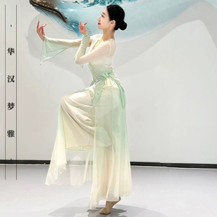 古典舞服装 演出服 女身韵飘逸练功服渐变色飘逸纱衣中国舞蹈服秋季