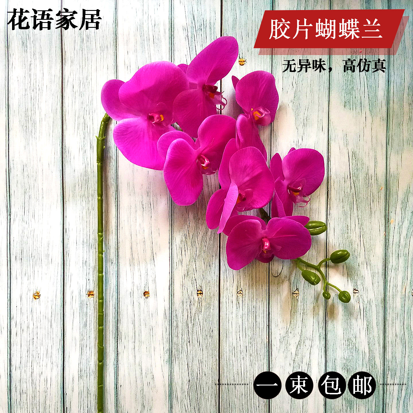 pu手感过胶仿真花蝴蝶兰单支干花饰假花客厅餐桌摆设摆放兰花包邮