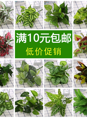 仿真植物绿植假叶子绿萝水草假