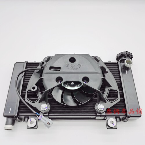 适用隆鑫LX500GS-B无极RR525 DS525X散热器总成 冷却水箱 风扇
