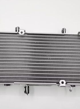 适用摩托车宗申赛科龙RE3水箱散热器ZS400水冷器银白温控开关冷却
