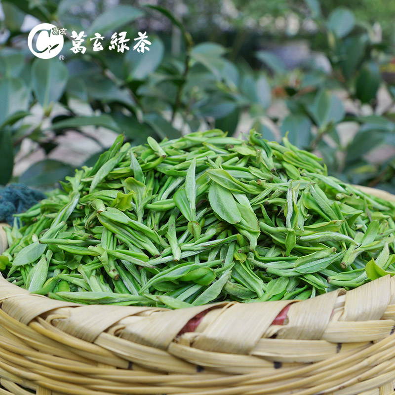 2025新茶葛玄天台山云雾茶散装