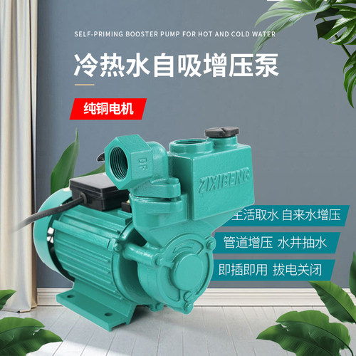 电动220v家用加压泵