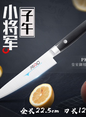 真久作日本进口家用水果刀厨房削皮切片小刀日式不锈钢刀具PKF50