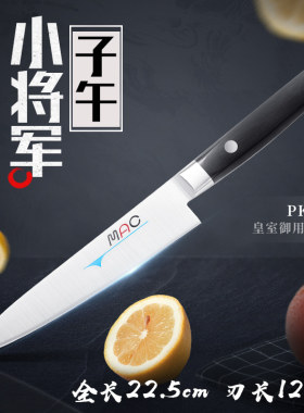 真久作日本进口家用水果刀厨房削皮切片小刀日式不锈钢刀具PKF50