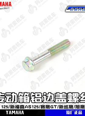 雅马哈巧格i125/新福喜AS/赛鹰GT/新巡鹰旭鹰 传动铝边盖固定螺丝