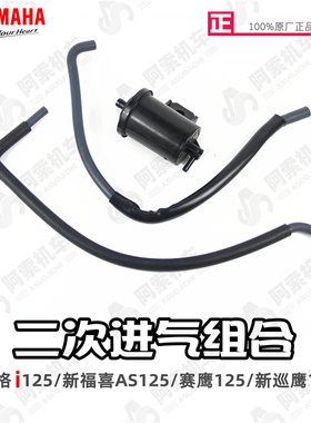 巧格i125 新福喜as125 赛鹰125 新巡鹰125 汽油二次回收系统 碳罐