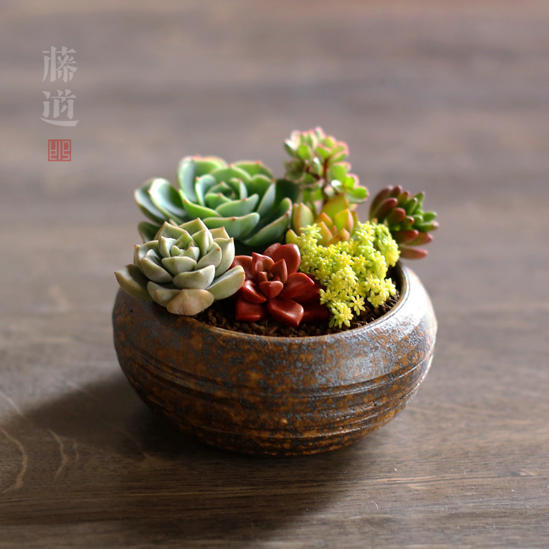 手工古典粗陶多肉植物花盆组合花器办公室绿植盆栽粗陶瓷扁钵桌面