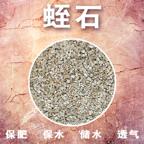 蛭石 扦插颗粒 养花专用土 养花发根用 铺面多肉育苗拌泥炭营养土在类目 鲜花速递/花卉仿真/绿植园艺, 园艺用品, 家庭园艺肥料/营养土/营养液中 - 来自Buy2taobao.com提供专业的淘宝代购服务