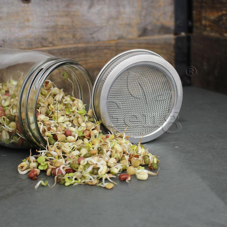 芽菜发芽罐  梅森玻璃发芽瓶 豆芽菜种植播种sprouting jar kits