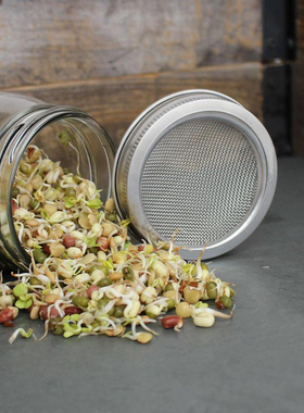 芽菜发芽罐  梅森玻璃发芽瓶 豆芽菜种植播种Sprouting Jar Kits