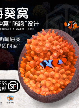 皇海葵巢奶嘴杯防跑珊瑚罐子