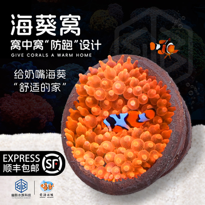 皇海葵巢奶嘴杯防跑珊瑚罐子