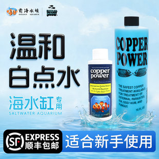 美国CP白点水检疫隔离螯合铜药性价低适合新手海水缸白点海水鱼