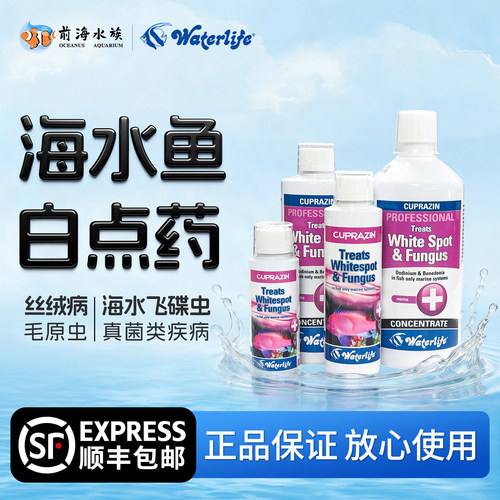 海水鱼白点水杀菌白点虫飞碟检疫