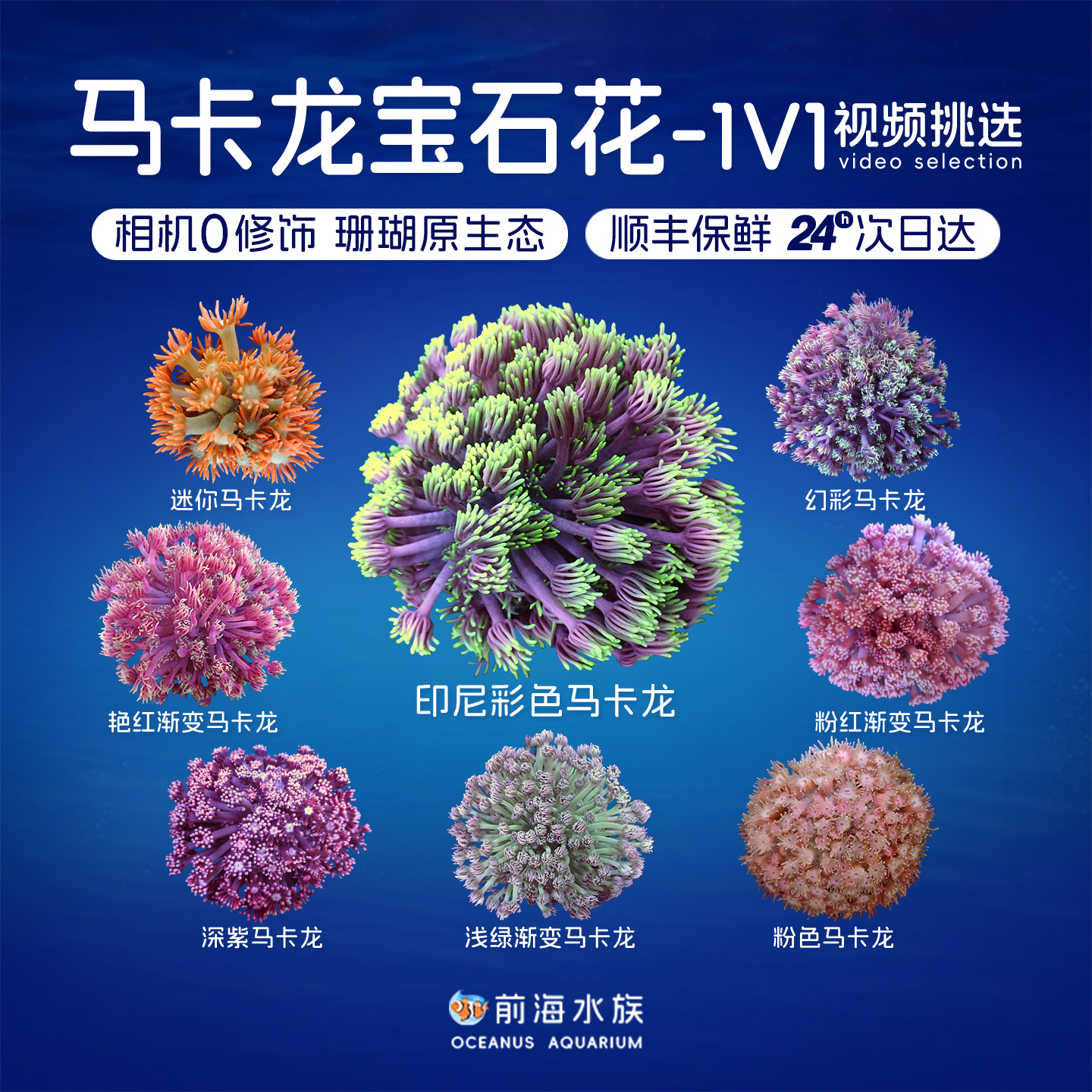 马卡龙宝石花幻彩宝石LPS珊瑚