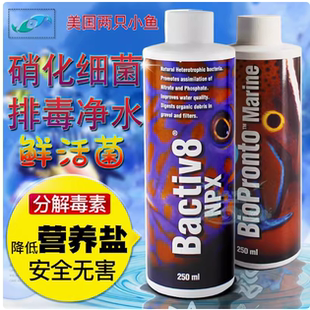 两只小鱼硝化细菌 两只小鱼净水机硝化菌排毒净水水质稳定剂除菌