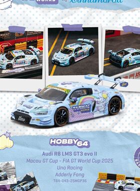 TW 1:64 奥迪R8 LMS GT3 evo II 澳门赛事玉桂狗 合金汽车模型
