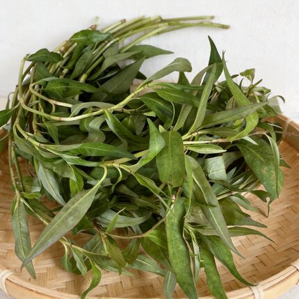德宏傣味香柳新鲜蔬菜香蓼柳香柳菜辣蓼草调料芒市傣味馄饨原材料