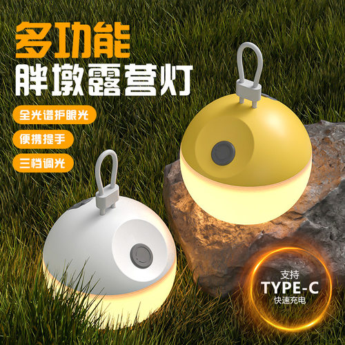 户外露营灯应急灯床头小夜灯