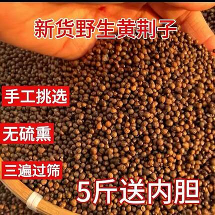 野生黄荆子黄金籽枕芯布惊子新货干净大人小孩特级软硬可调节枕头
