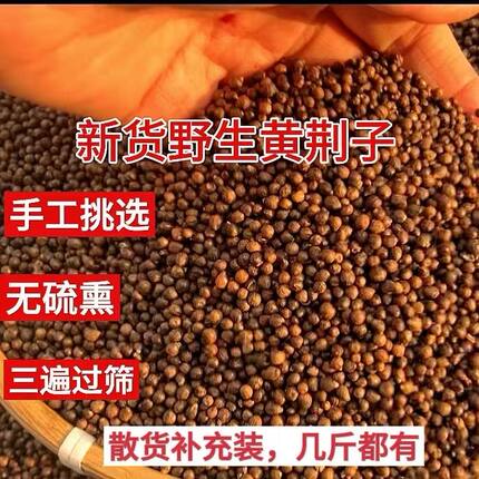 天然野生黄荆子新货填充颗粒枕头颈椎枕布荆子免洗直接可用健康