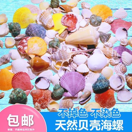 海星diy橱窗地台居家鱼缸造景