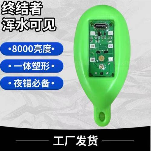 可视锚鱼高灯浮漂水影可视高灯夜视浮漂超高亮度深水浑水诱鱼浮漂