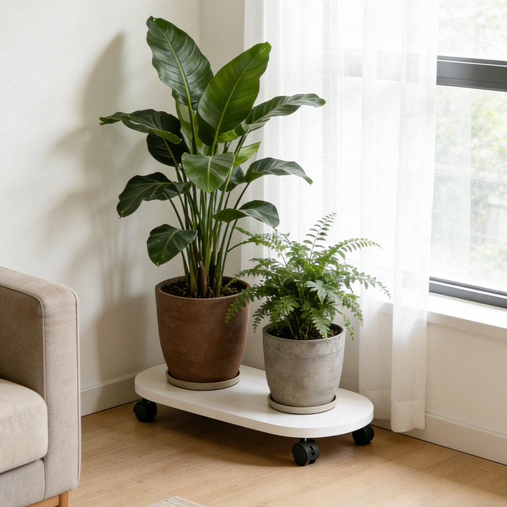 椭圆花盆托盘移动花架底座图片