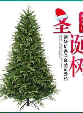 Christmas tree 150cm 180cm圣诞树装饰品150cm180cm圣诞树