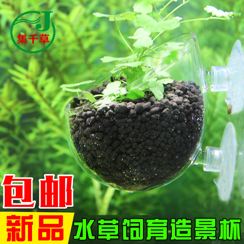 水草养育盆水草培育杯水草杯水草造景杯盆鱼缸装饰水族箱造景套餐